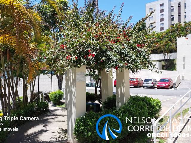 Apartamento para Locação em Taboão da Serra - 2