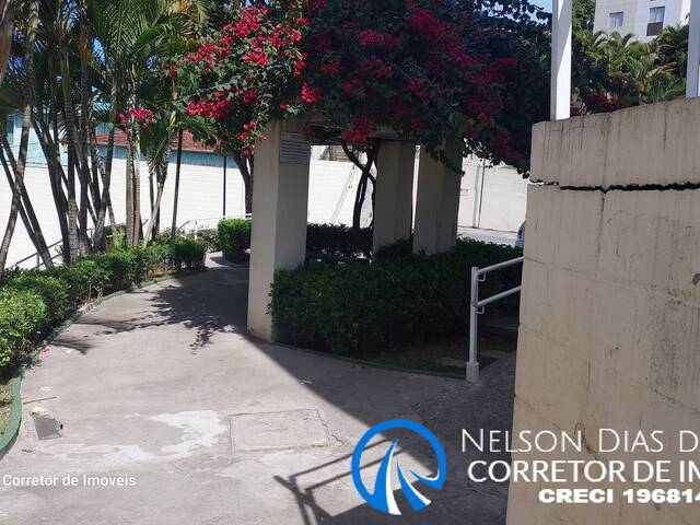 Apartamento para Locação em Taboão da Serra - 4