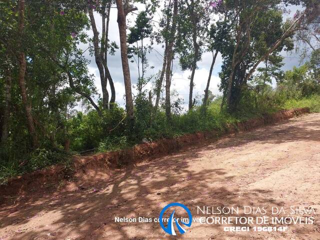 #Di10265 - Terreno para Venda em Cotia - SP - 1