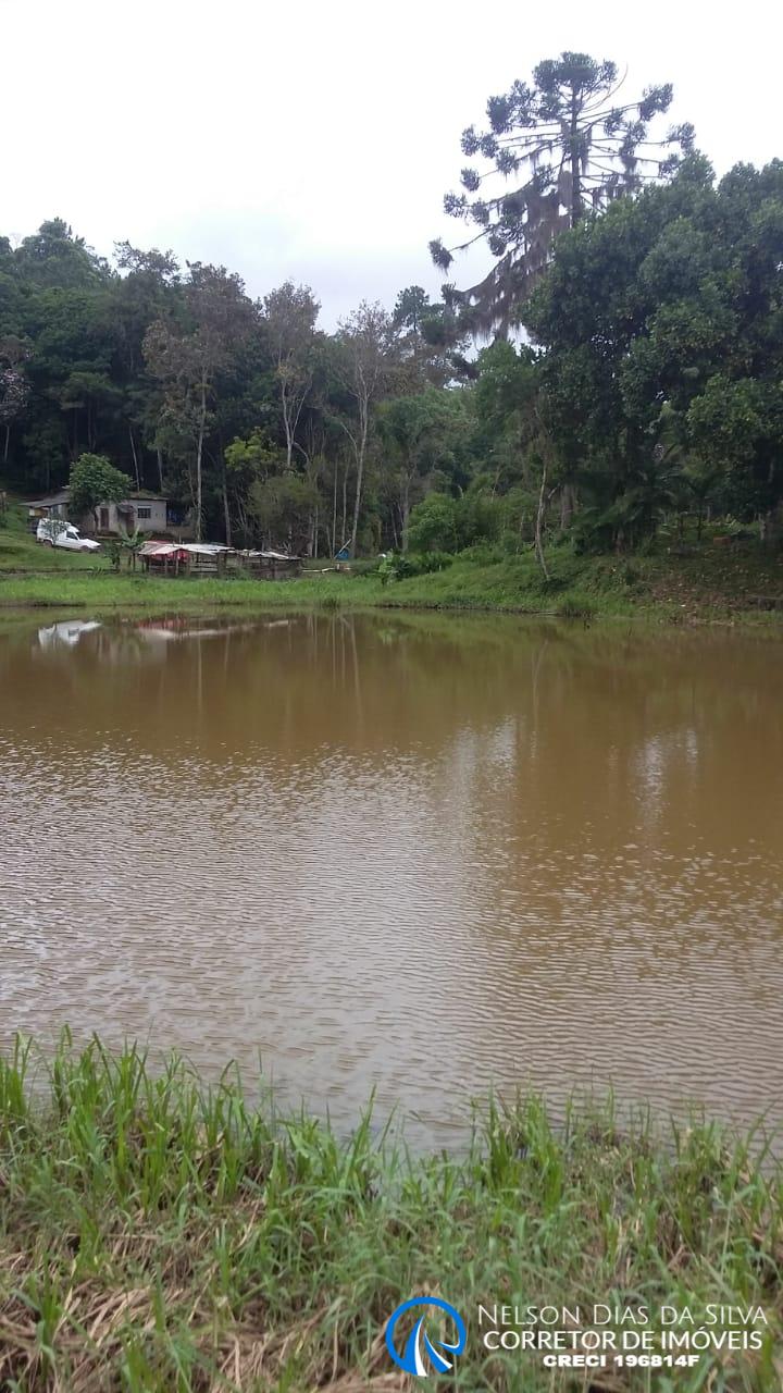 Fazenda-Sítio-Chácara, 1 m² - Foto 3