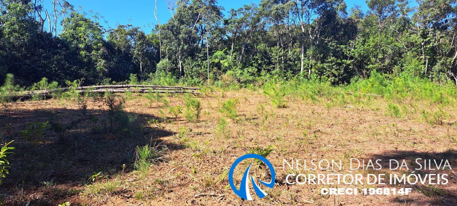 Terreno, 27 hectares - Foto 6