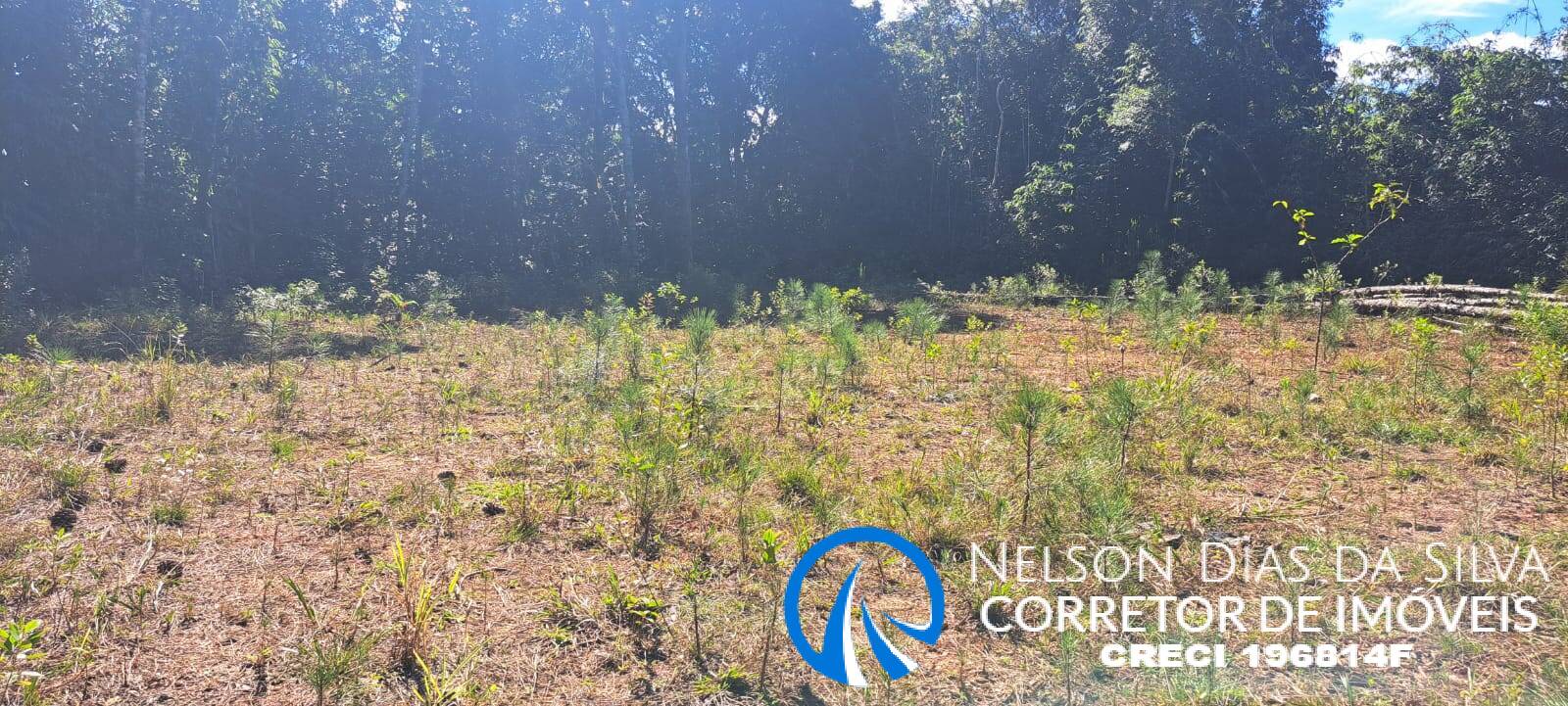 Terreno, 27 hectares - Foto 8