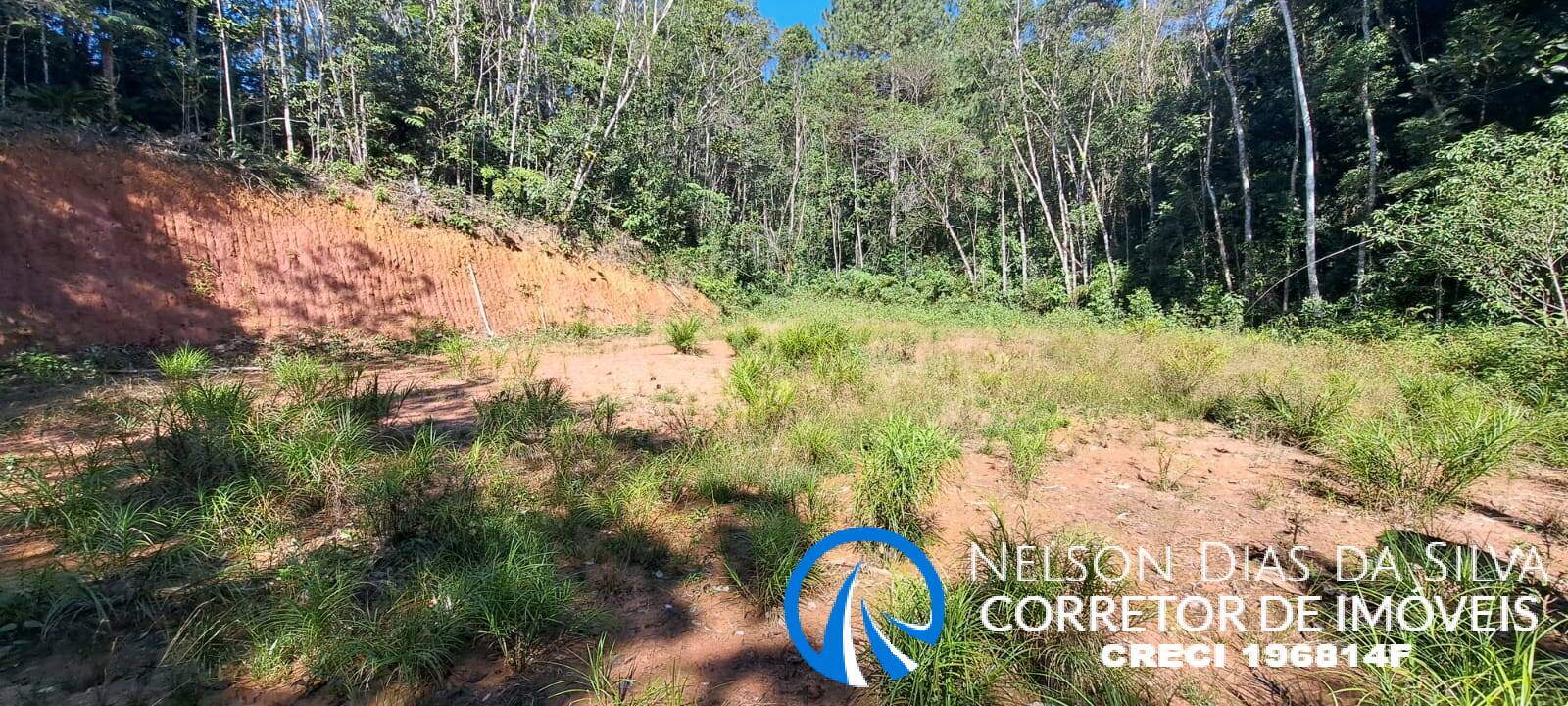 Terreno, 27 hectares - Foto 10