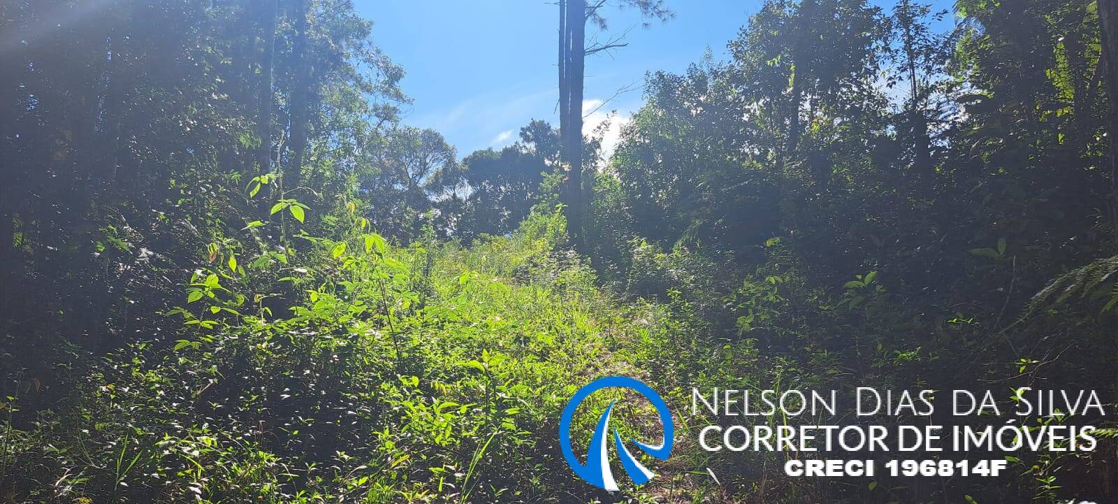 Terreno, 27 hectares - Foto 13