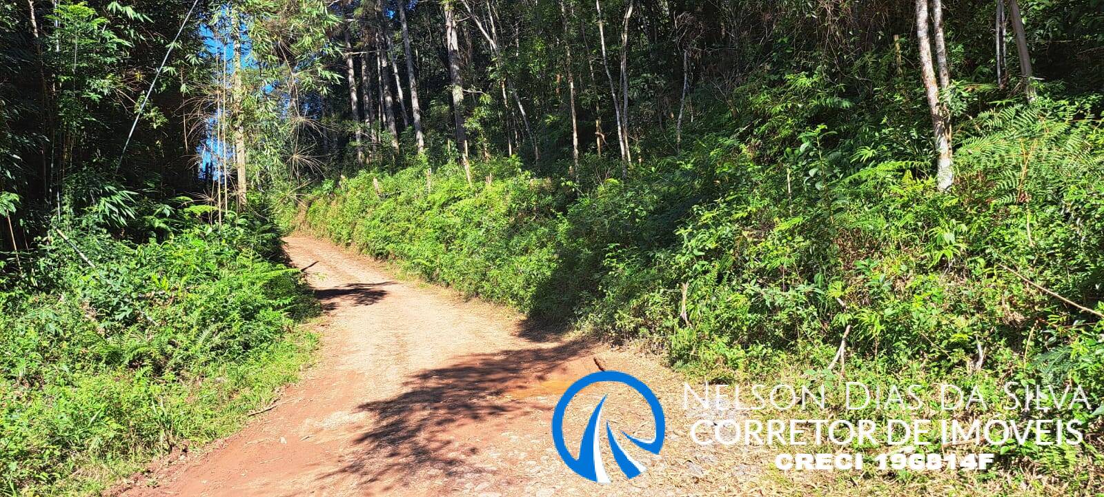 Terreno, 27 hectares - Foto 16