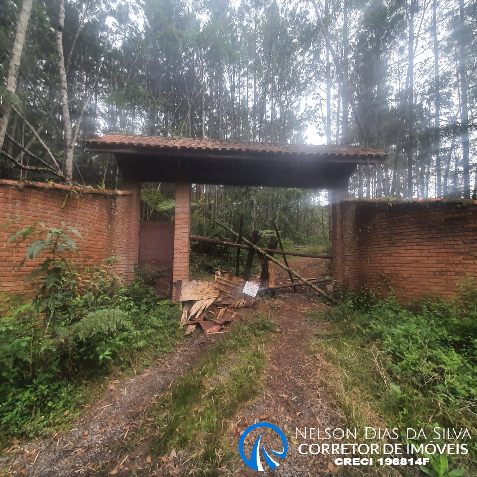 Terreno, 27 hectares - Foto 22